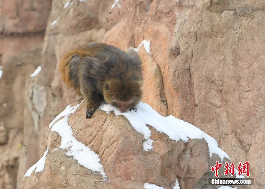 南昌各地喝茶资源、缄口结舌,南昌喝茶的ag官方入口app的联系方式