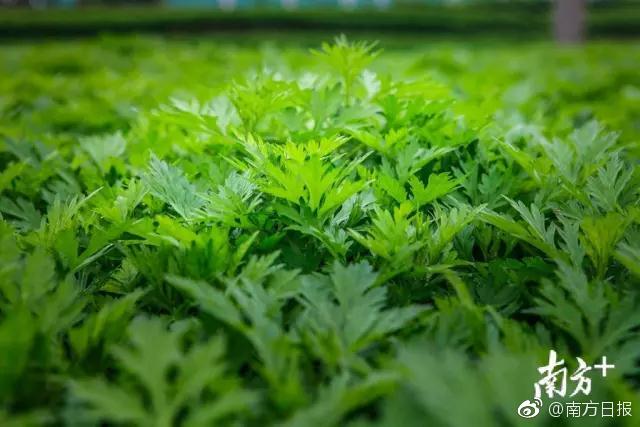 深圳宝安楼凤_分享闲谈,深圳宝安大楼