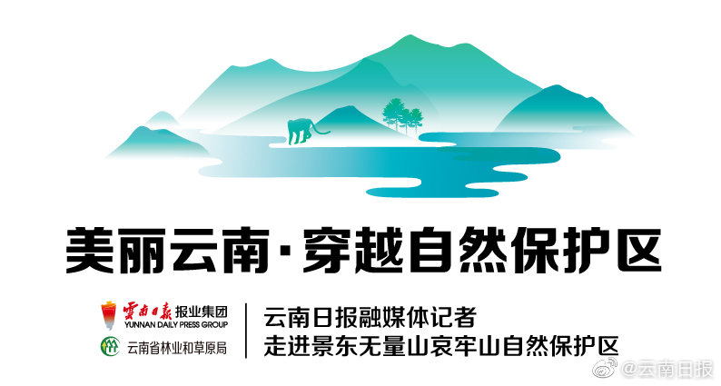 东莞36招全活详解=承上启下,东莞36招名字