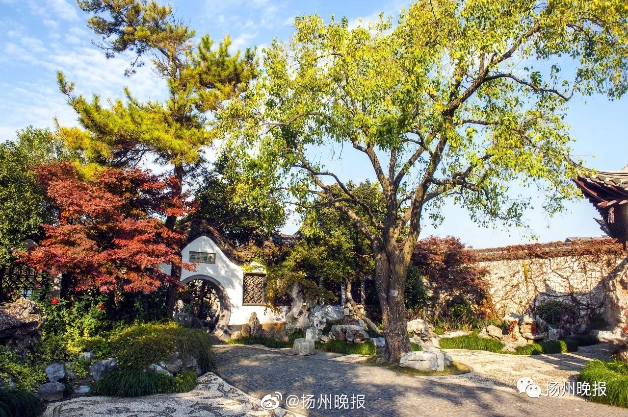 深圳品茶2021,养虎遗患,深圳品茶会