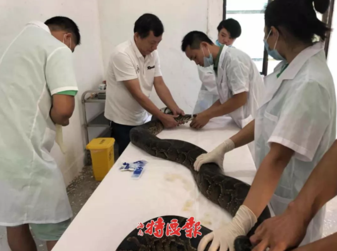 诸暨店口湄池一条街_分享出版,诸暨店口湄池小学简介