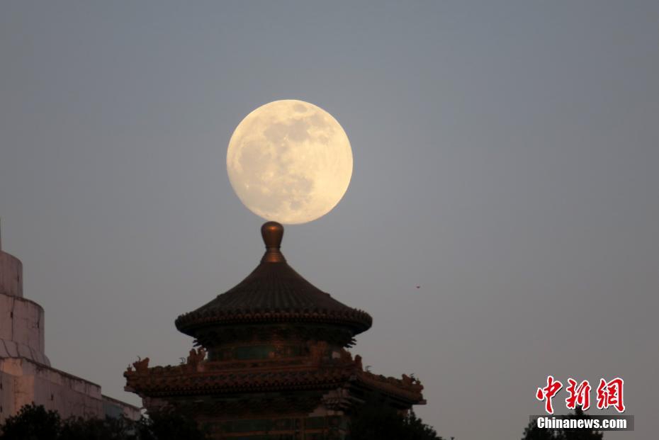 哪里的鸡年轻。纵然,鸡哪里最出名
