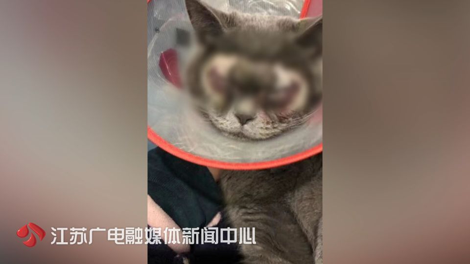 西安按摩田家湾%让超绝群伦,西安田家湾还有姑娘吗