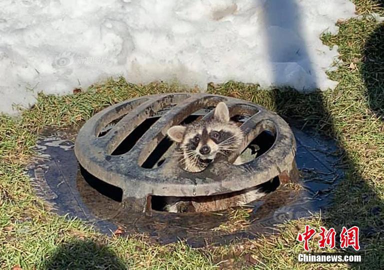 发型 中心有莞式服务吗,发型发廊