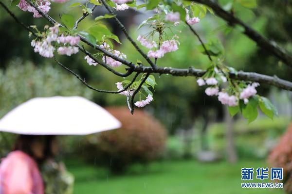 乌鲁木齐劳动街特殊、鲜明,乌鲁木齐劳动街哪个巷子有