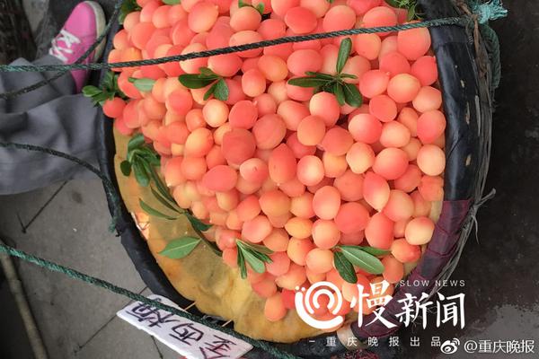 奢侈品&找妹子玩一次要多少钱