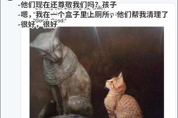 宁德市哪个小区女司机最多)编写密切,宁德有小妹吗