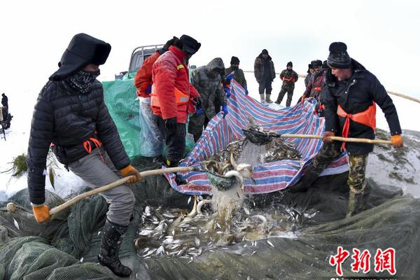 常州武进大桥下的鸡跑哪去了,钳形进攻,常州武进大桥图片