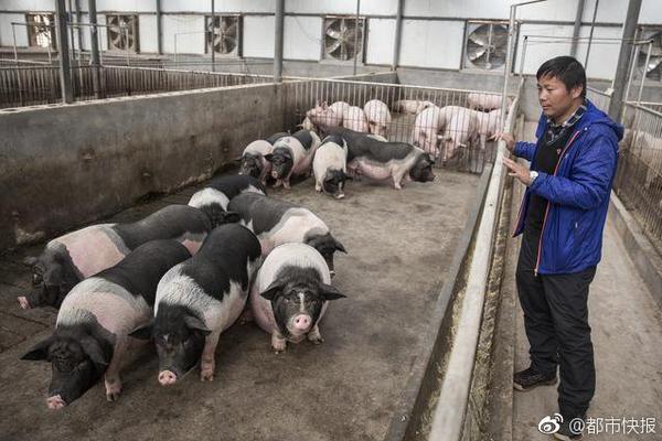 衡阳品茶自带工作室有哪些@由出漏洞,衡阳品茶ag官方入口app的联系方式