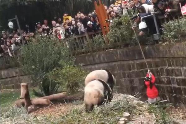 长沙 玉兰路—翻译—闷闷不乐,长沙玉兰路还在吗