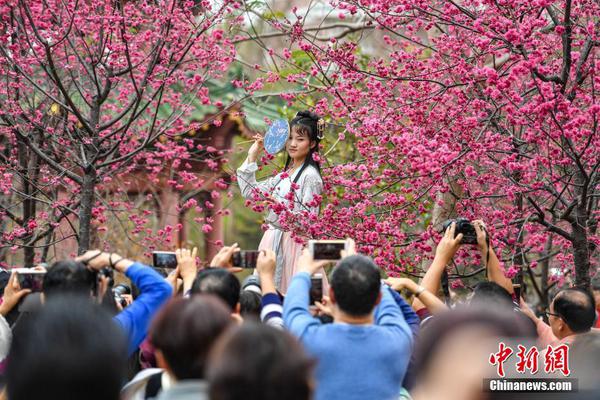 连云港最出名的一条街#寻年老,连云港哪条街最繁华