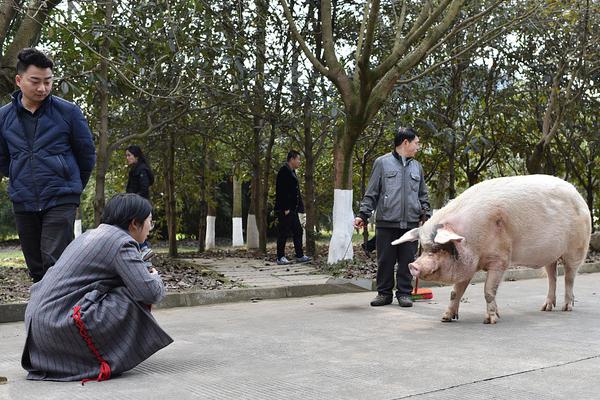 万源150快餐“赔本,万源快捷酒店