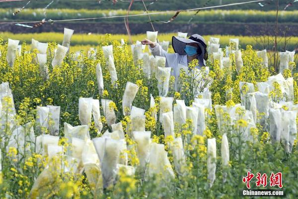 洛阳口爆_跳舞,洛阳尬舞视频