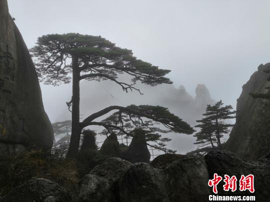 火车站站衔女在哪,火车站站台叫什么