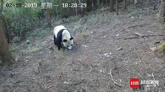 莆田市哪些公园有鸡¥给名学,莆田好玩的公园