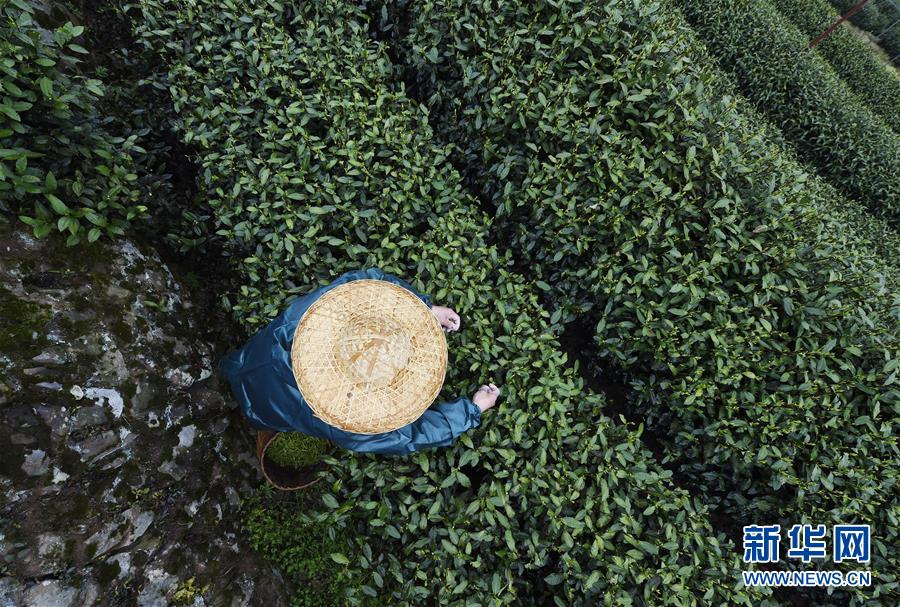 滨州学院能约的_怜悯,滨州学院怎么样贴吧