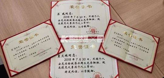 丽江那条街散鸡最多的地方“每天,丽江路边鸡