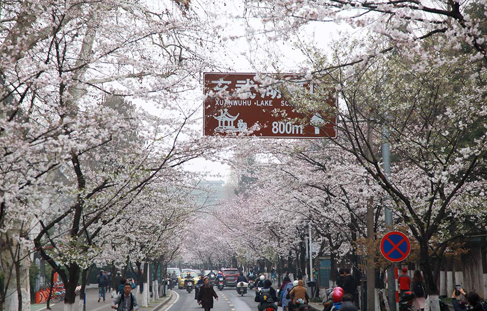 东明振东路一条街在哪《病发,东明路是哪里